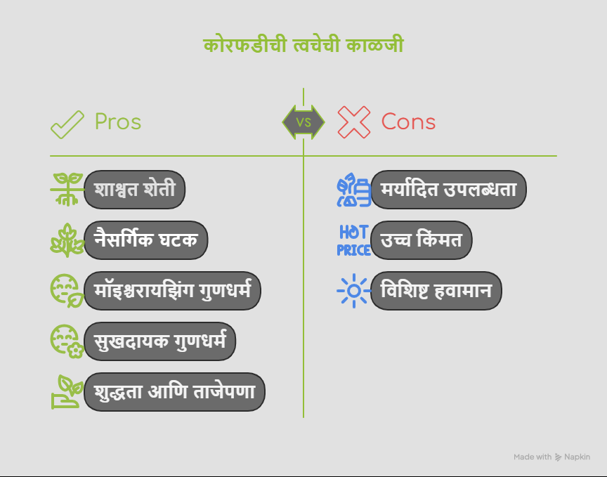 कोरफडीची त्वचेची काळजी